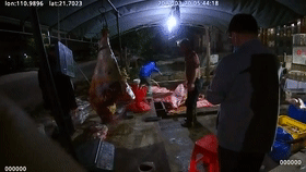 ΢��ͼƬ_20200325215514.gif