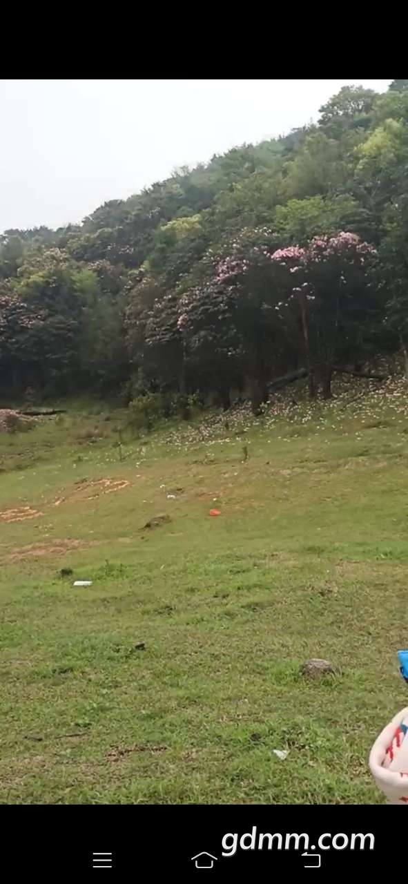 20200328_3295945_1585382717791.jpg