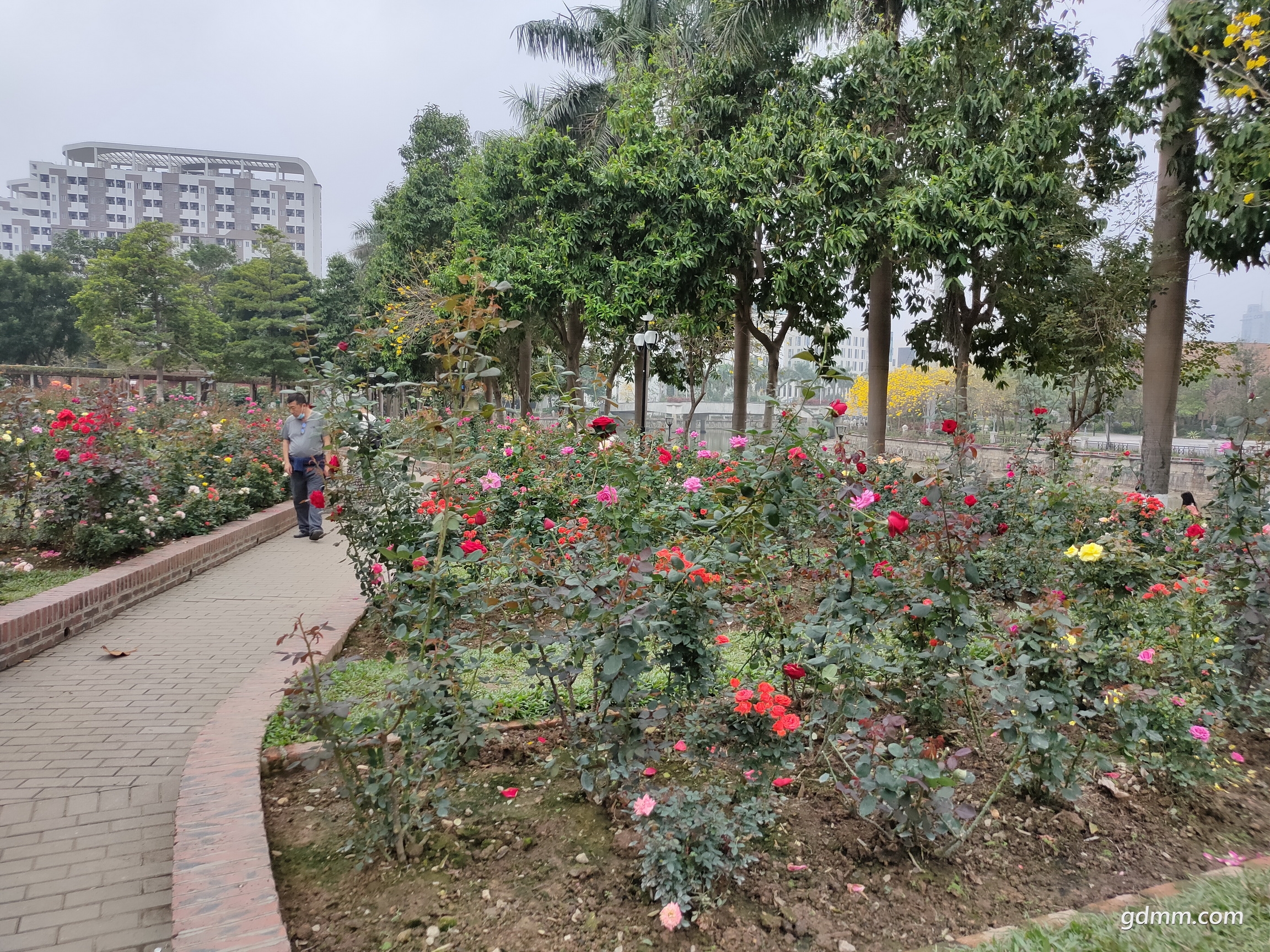 IMG20200307122525.jpg