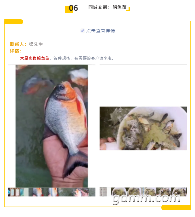 9.png