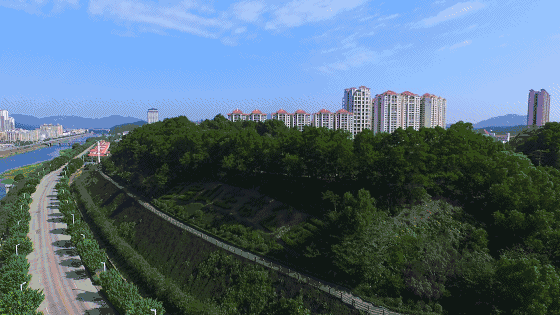 6411.gif