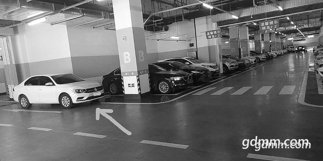 20200407_154004_020.jpg