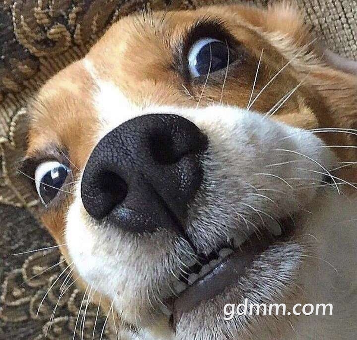 20200412_3276480_1586660223231.jpg