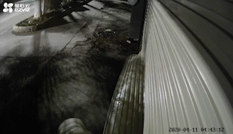 01.gif