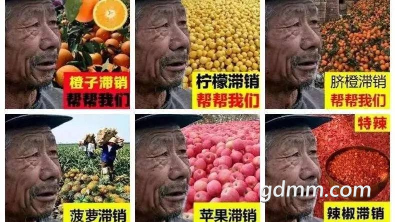 QQͼƬ20200416164142.png
