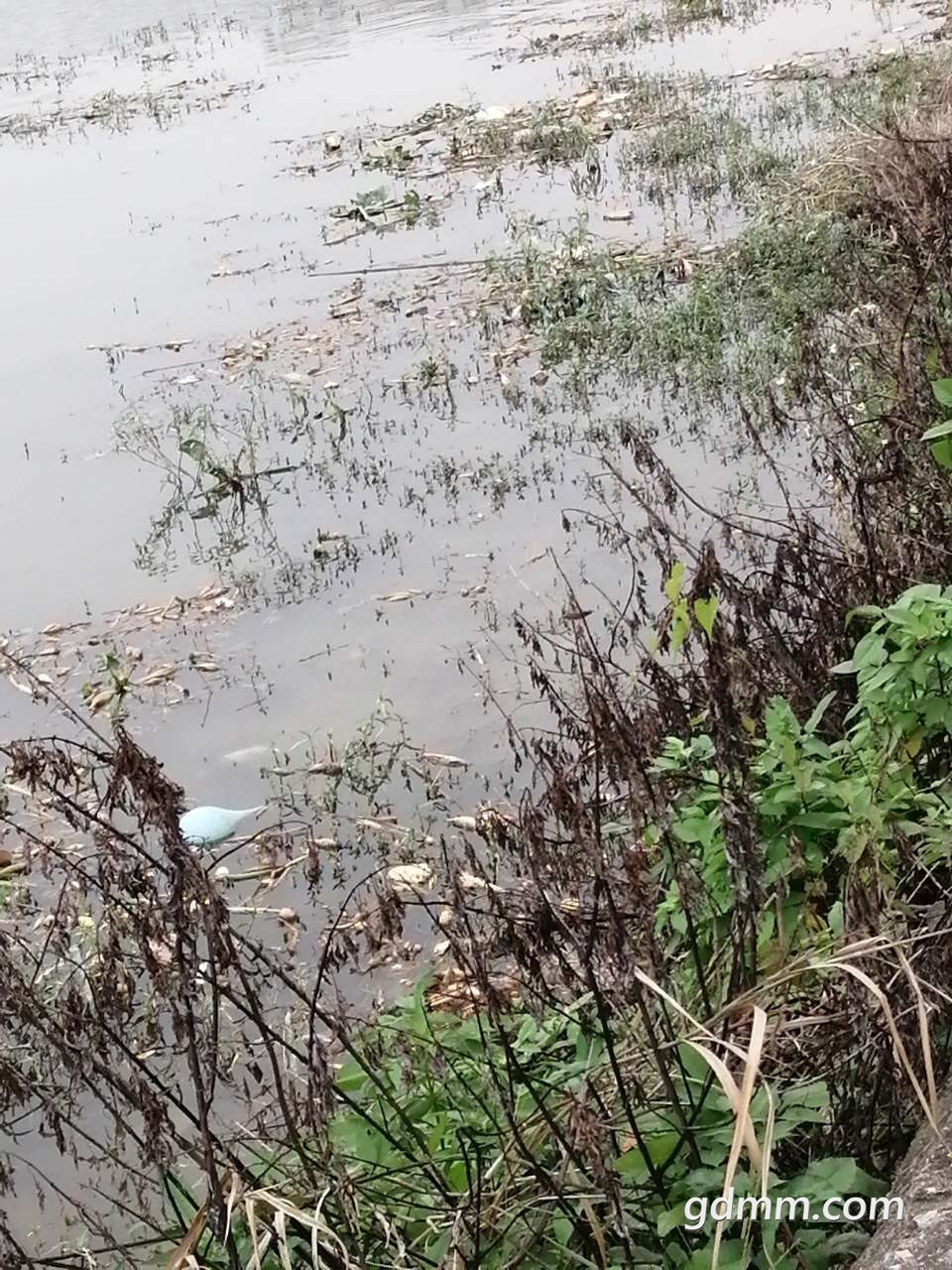 20200418_3257276_1587198812562.jpg