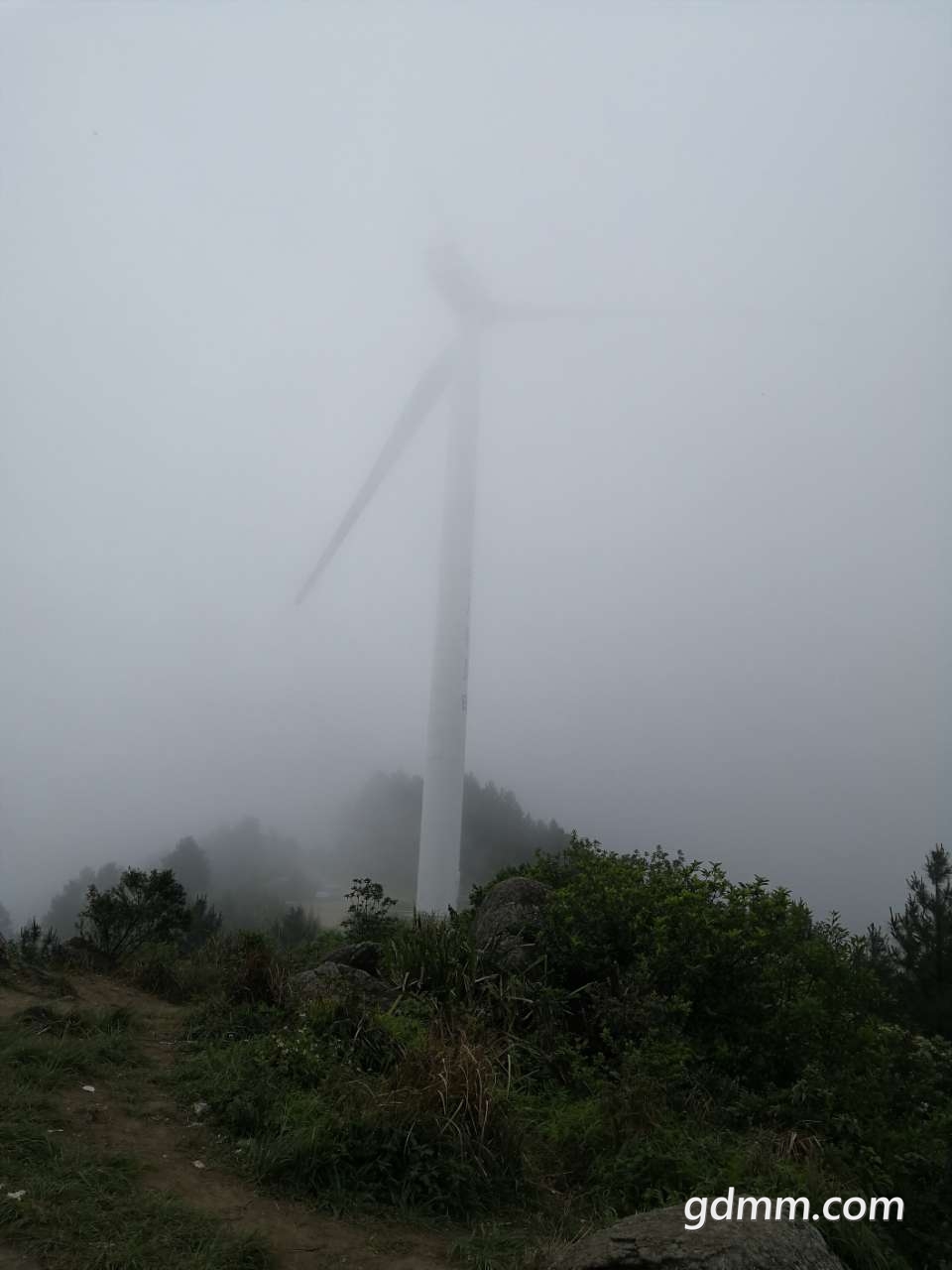 20200418_3335893_1587203058536.jpg