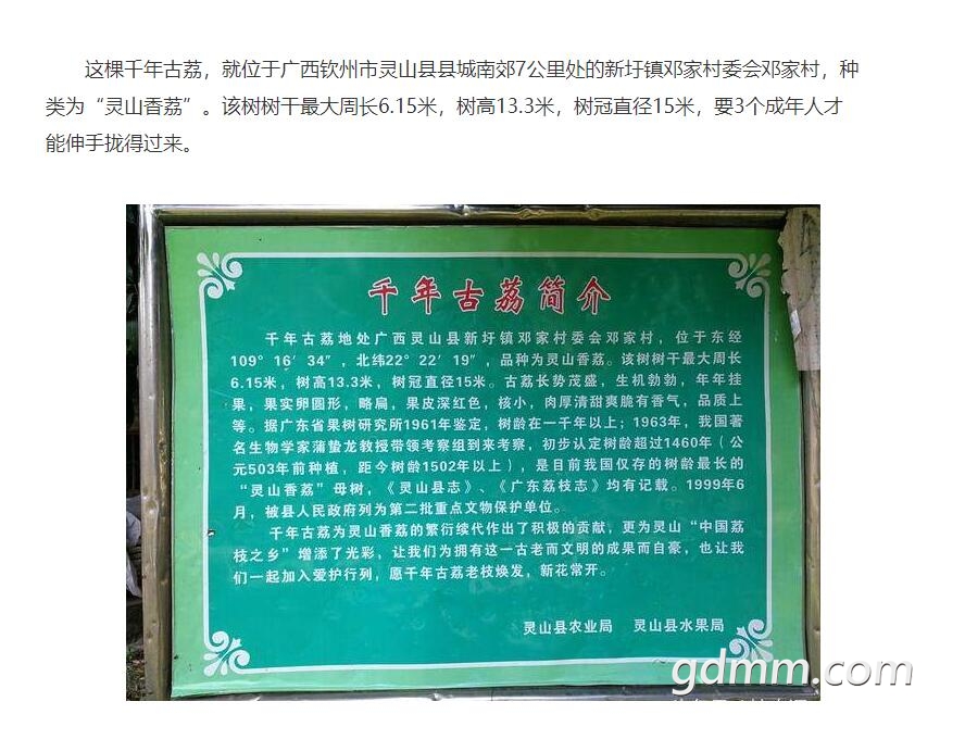 QQ��ͼ20200420230246.jpg