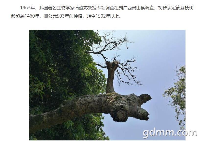 QQ��ͼ20200420230328.jpg