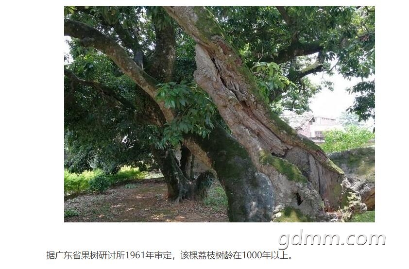 QQ��ͼ20200420230315.jpg