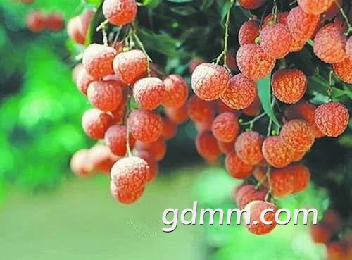 ΢��ͼƬ_20200506224759.jpg
