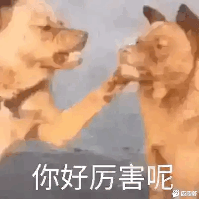 20200511_3302236_1589182022995.gif