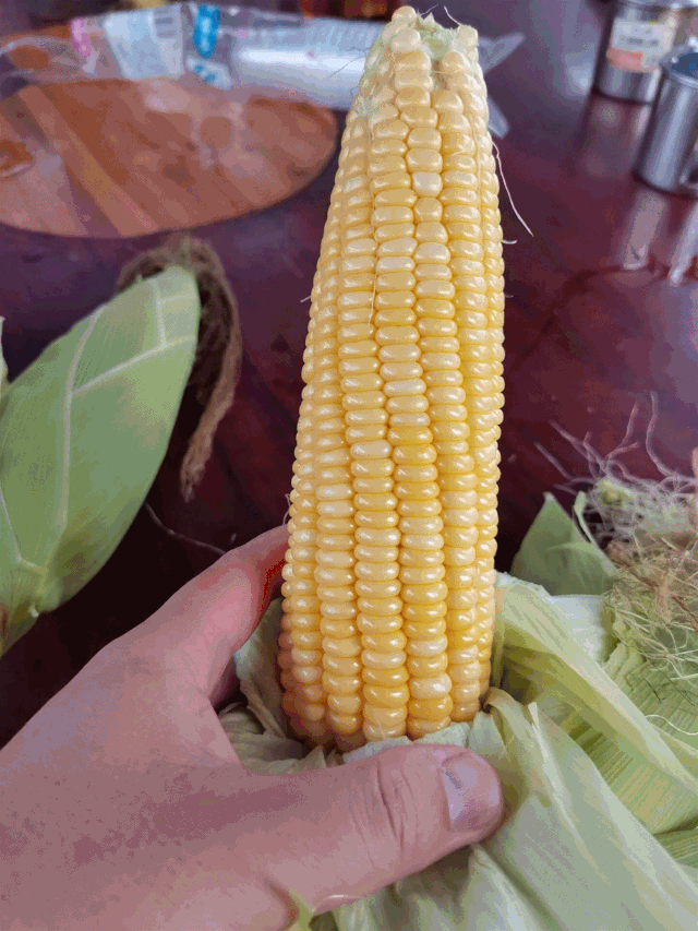 20200516_3277340_1589635036973.gif