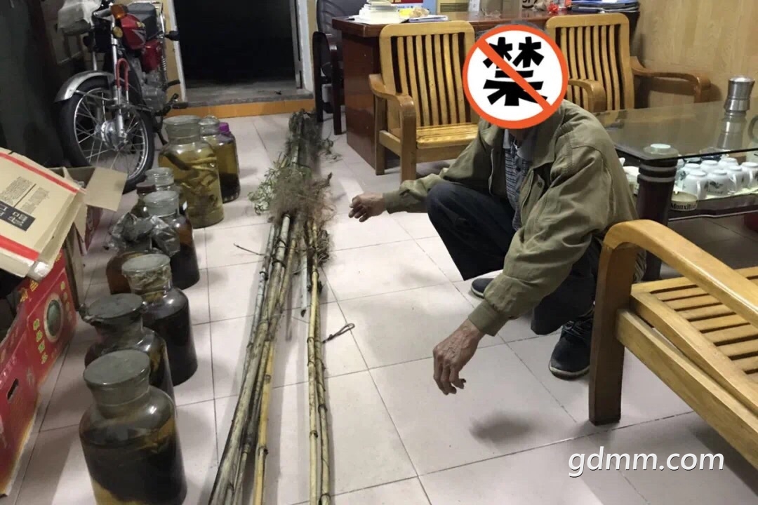 FptdgFiYT6XrTRnIH0NBVTkMOqzP.jpg