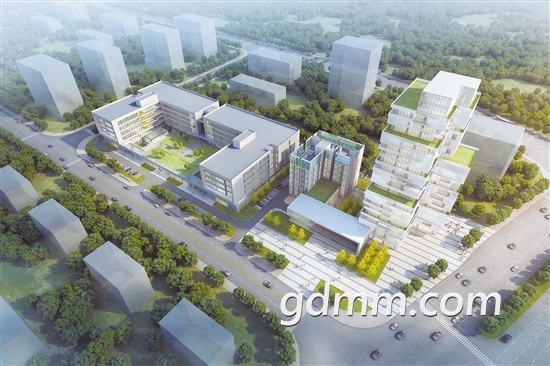 QQ��ͼ20200521135819.jpg