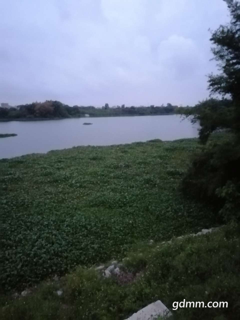 20200525_3276128_1590406751572.jpg