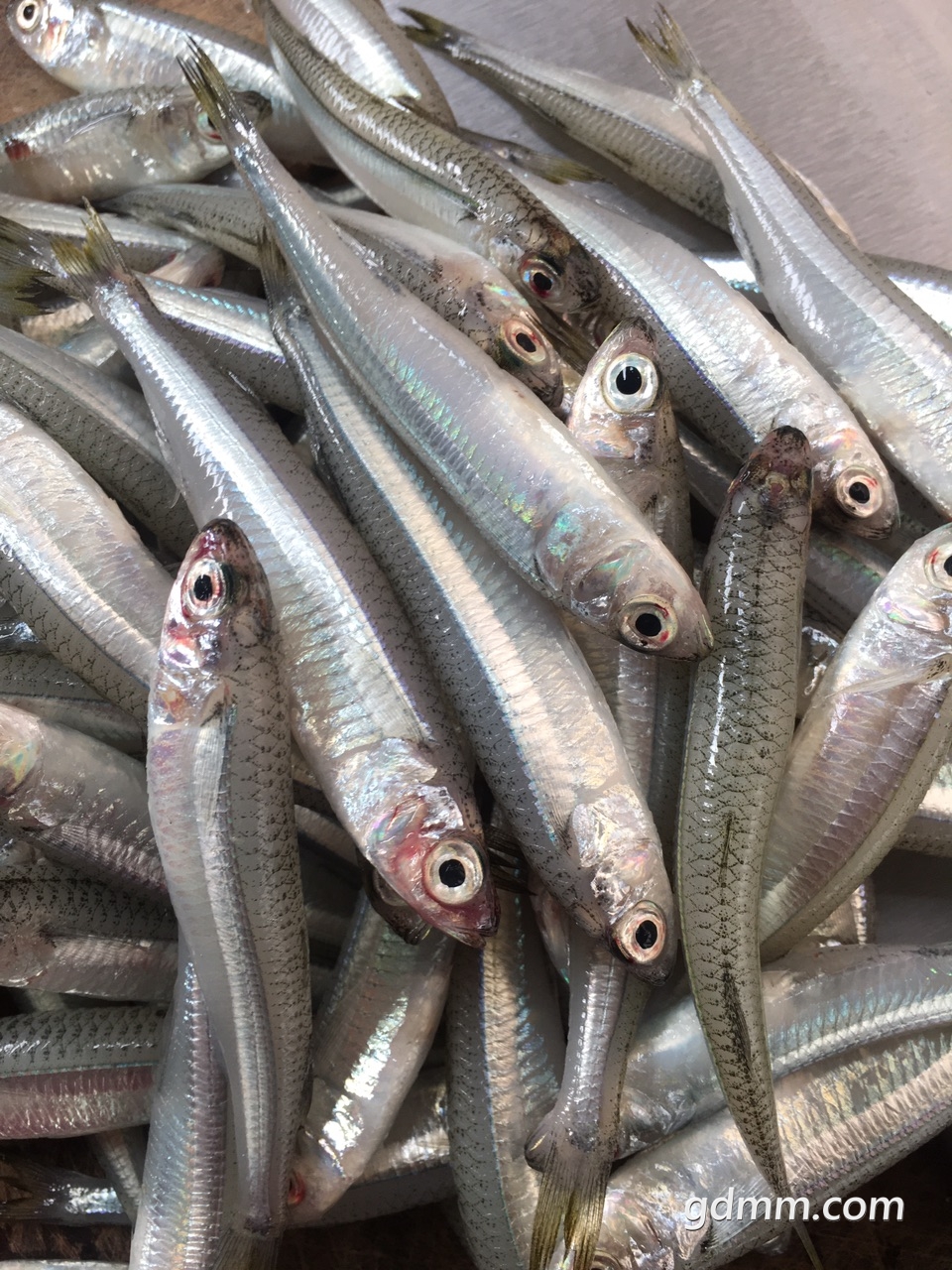 硬鳞丁鱼:全身布满像玻璃渣一样的硬鳞,不懂吃的人望而生畏殊不知是