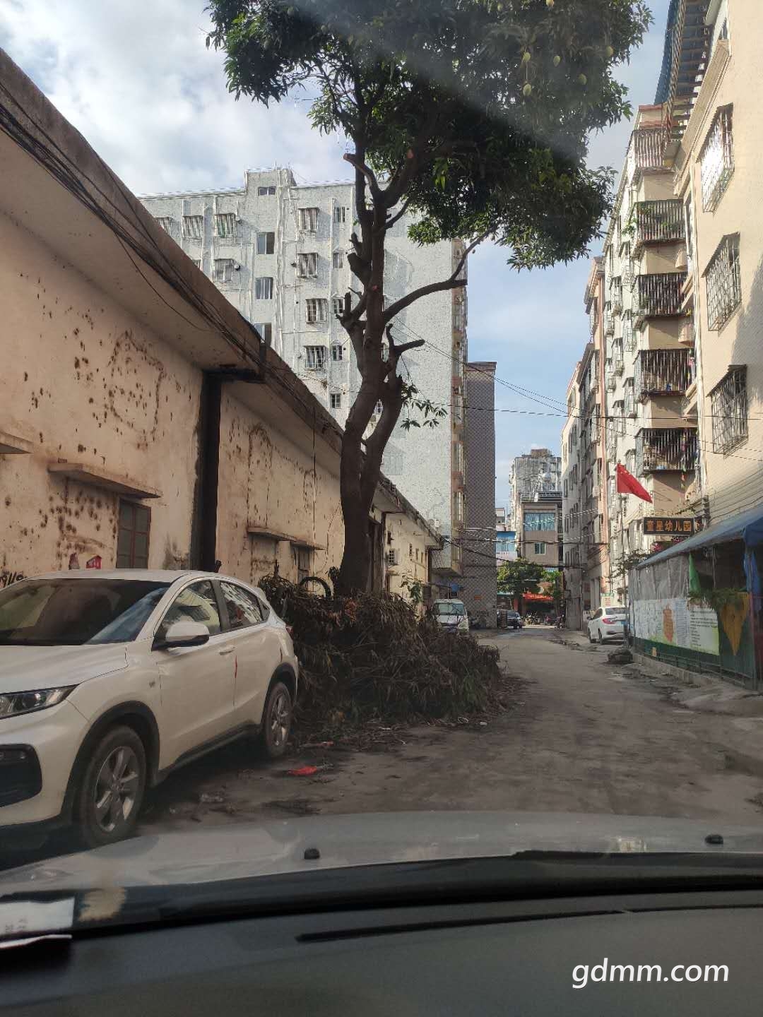 ͨ��ͼƬ�������ѷŵ���֦�Ѿ�ռ��һ�복��