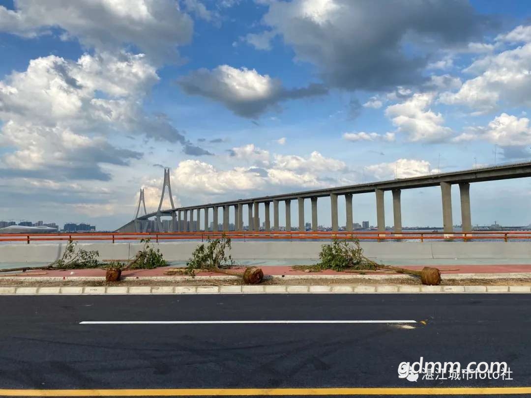 多图直击即将贯通的湛江广州湾大道cbd段