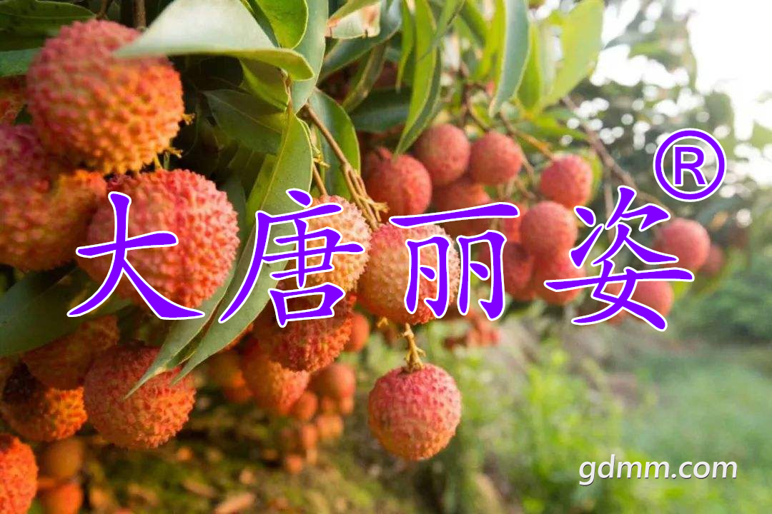 QQͼƬ20200604110144_����.png