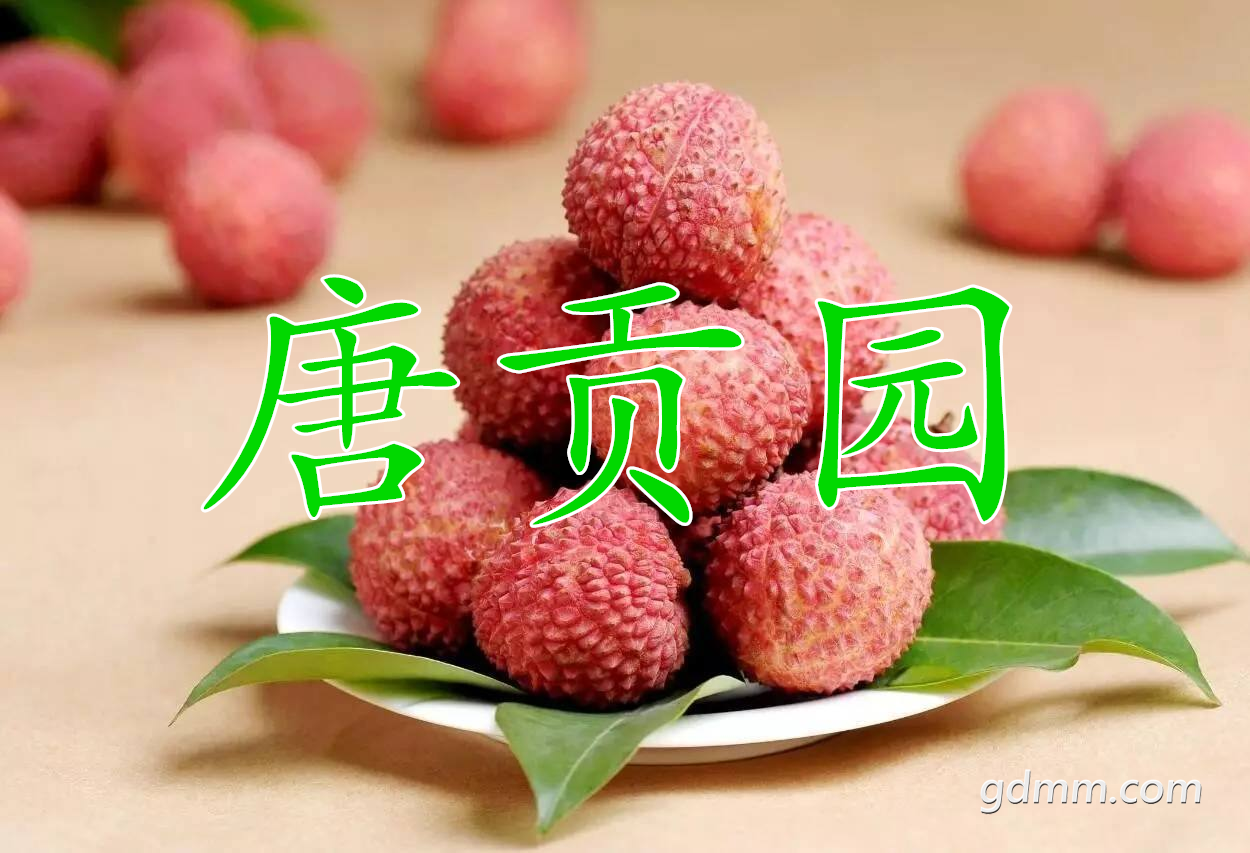 QQͼƬ20200604110502.png