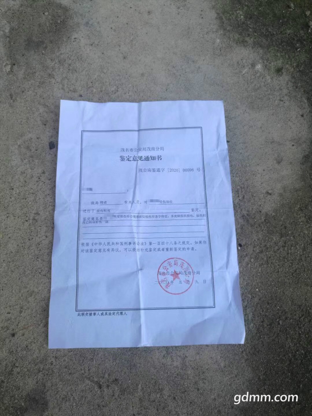 91.jpg