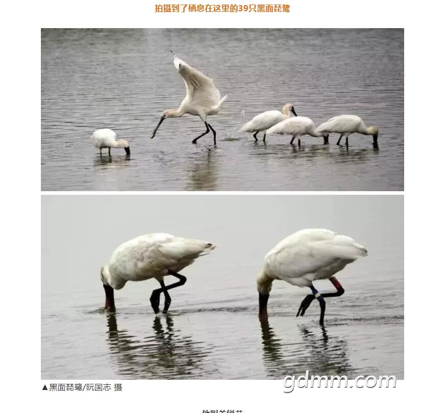 QQ��ͼ20200610093742.jpg