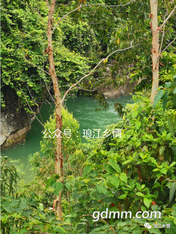 ΢��ͼƬ_20200617202317.png