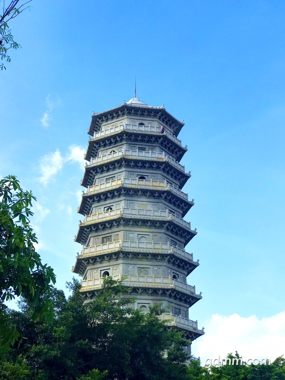 打卡化州新景点