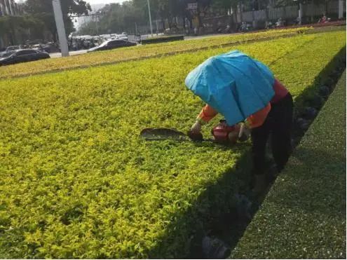 092031cocz87rr86ryhpe8.jpeg