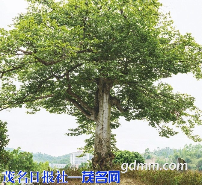 50bd0b634bc1100b27bdbe7ff225c2da.jpg