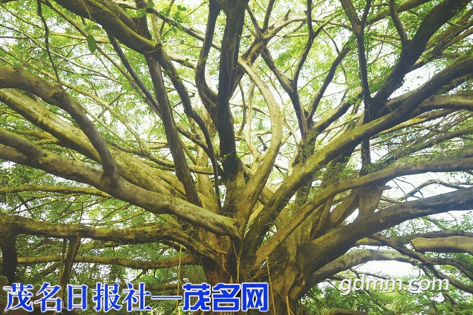 8dcd204ae8d5538b7d07de6a140b51e5.jpg