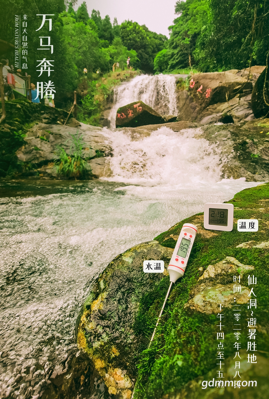 161810b77b701dtfp0n2em.jpg