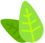 095756l6rpj00101nr611t.png