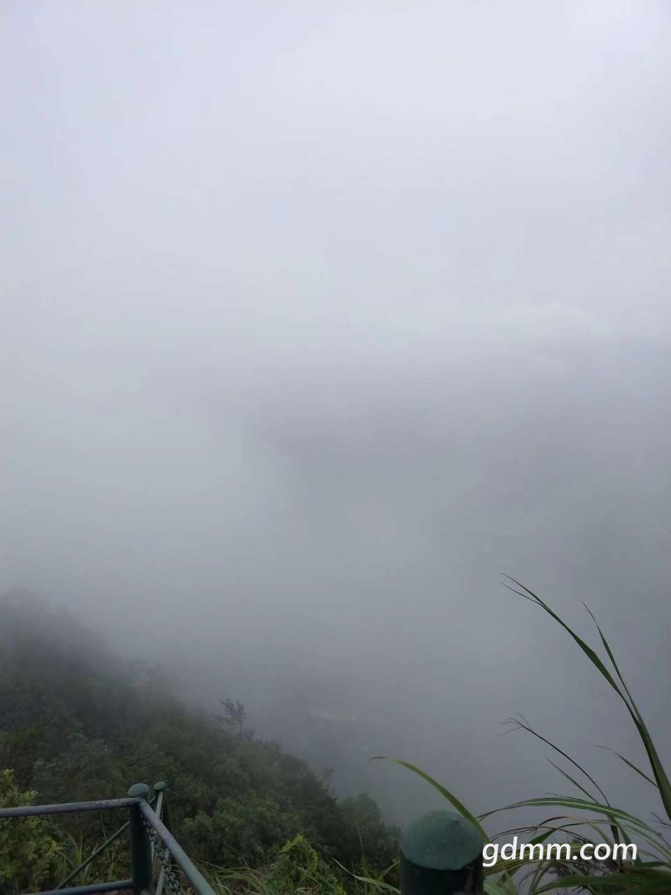 front2_0_FmQ3ICuMrdZelaGEaKgjjTHfdqh_.jpg