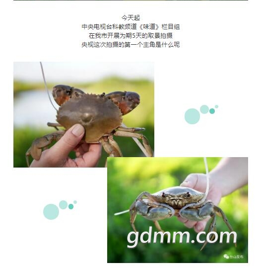QQ��ͼ20200819135237.jpg