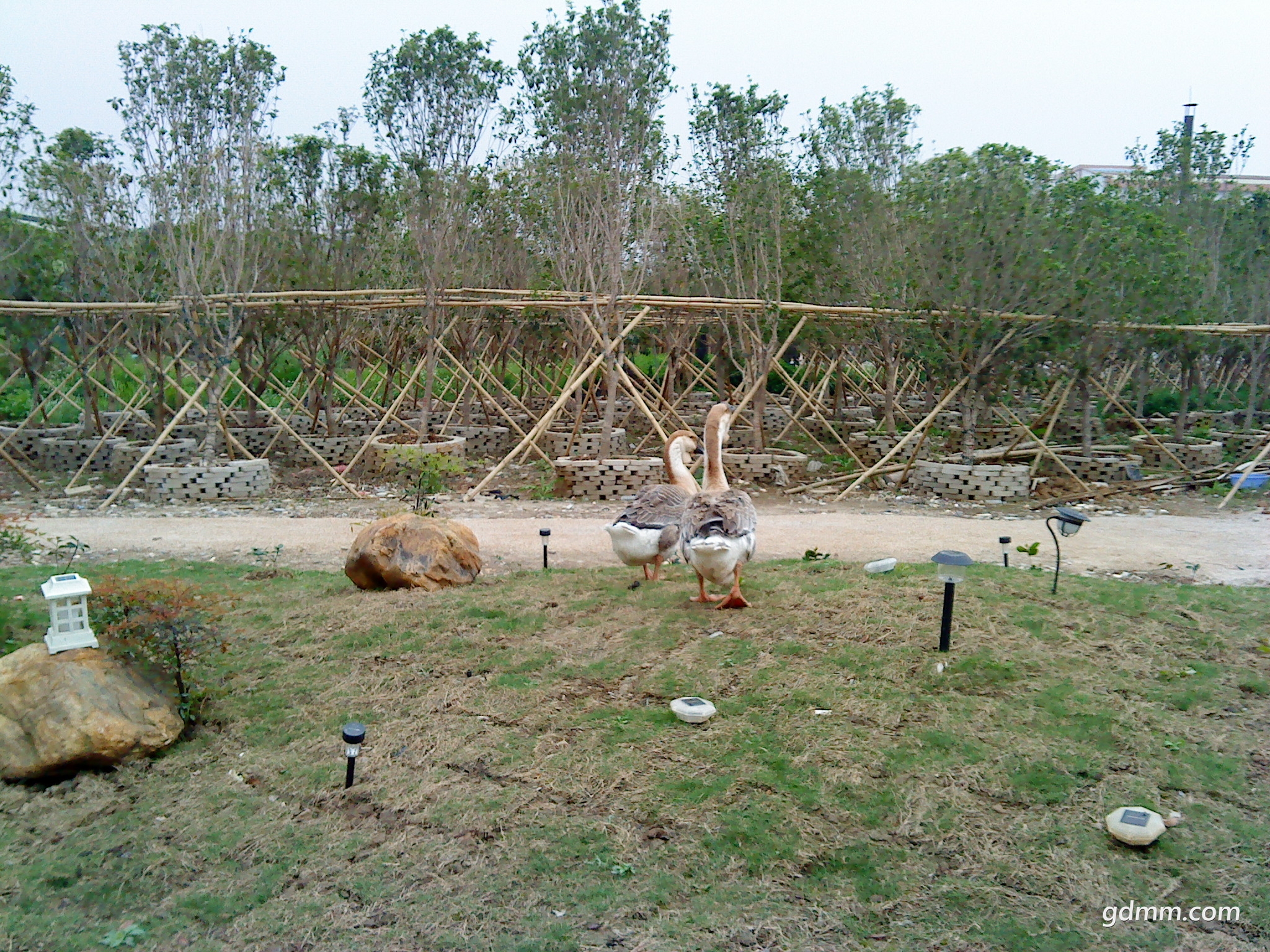 DSC00883.JPG