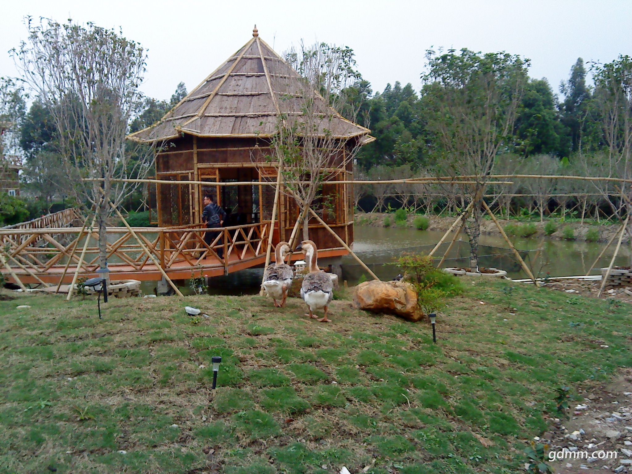 DSC00884.JPG