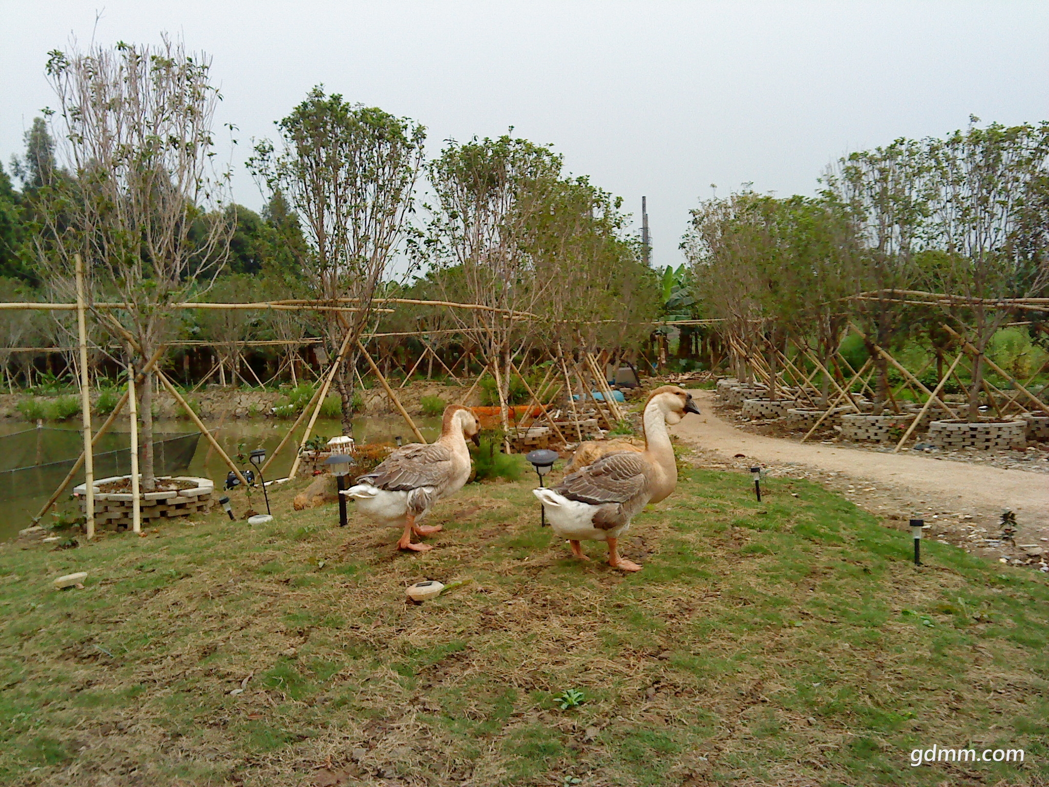 DSC00892.JPG