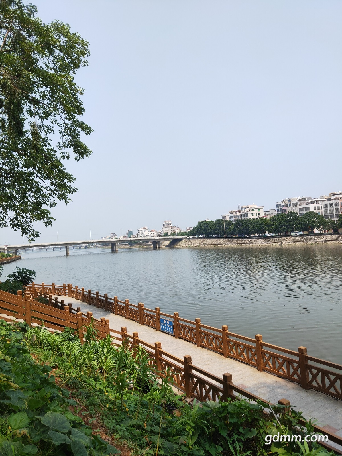 IMG20200831111531.jpg
