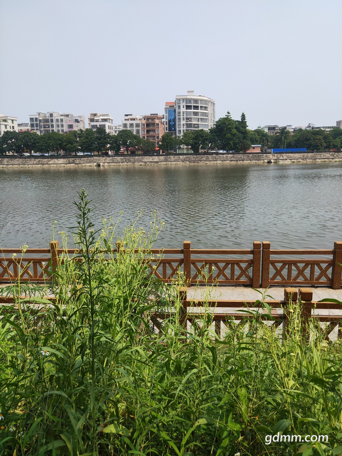 IMG20200831111158.jpg