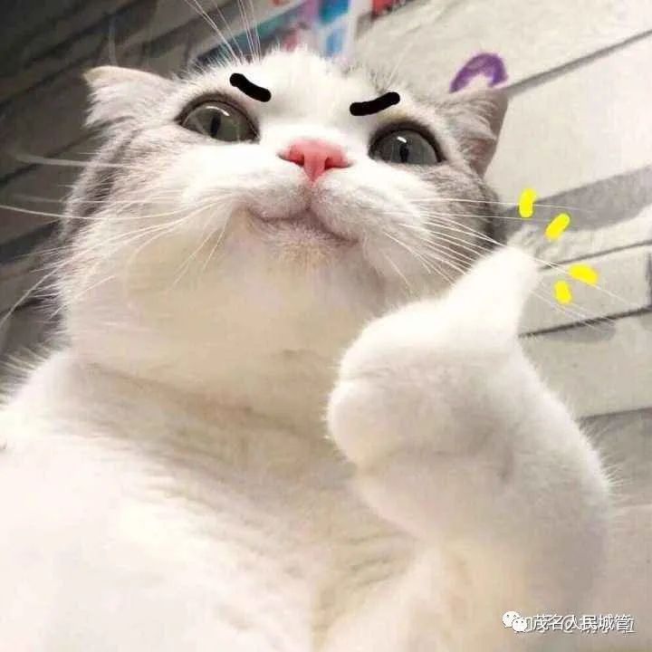 214553o9tyl53zgylyqlfo.jpeg