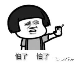 220725x6hg716qhbcc4qff.jpeg