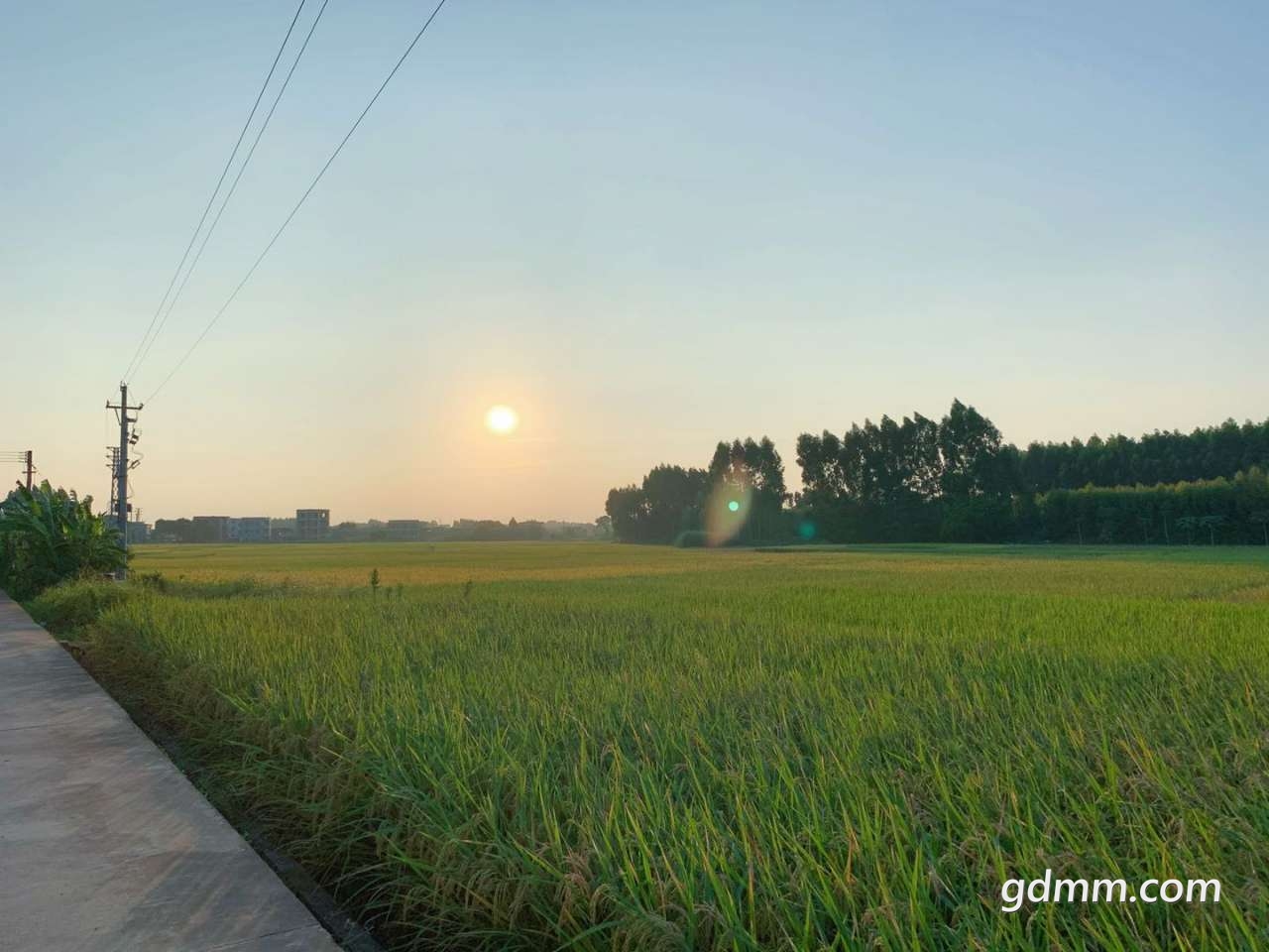 front2_0_FnMnC5PLXmrSQI2GZvSnZ4GPyPNB.jpg
