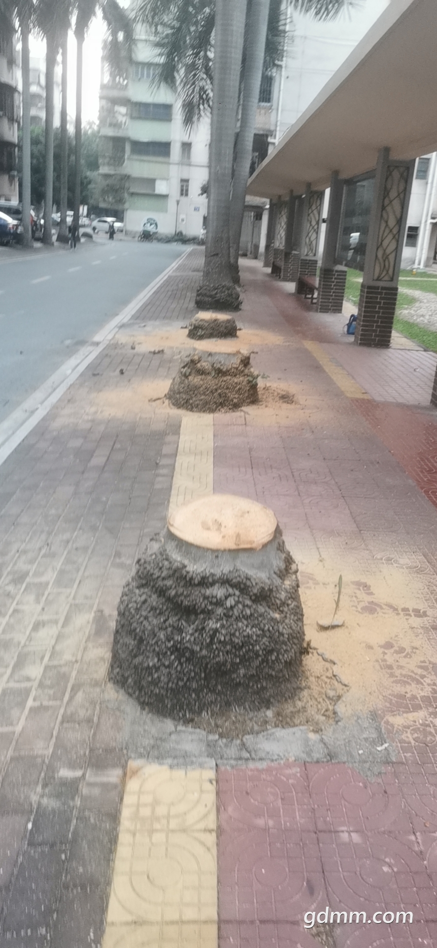 ΢��ͼƬ_20201105190313.jpg