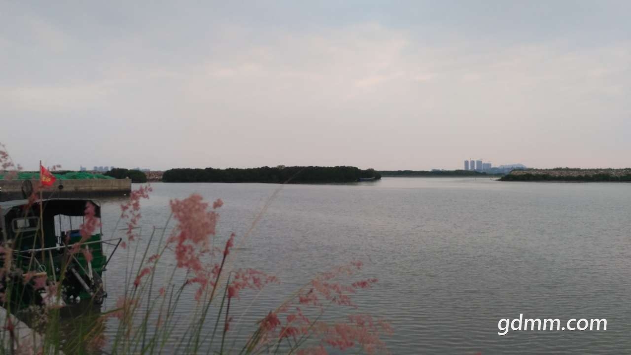 front2_0_FgZVdMQQkVHicvCbuFM8mezMwaAz.1605620121.jpg