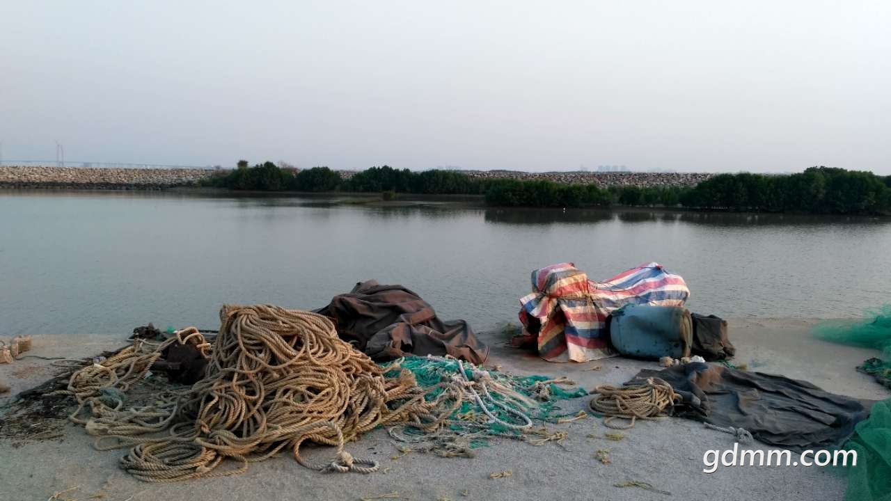 front2_0_FnhGo_fN5sGUpVA3qEyeL4Afzsjj.1605620190.jpg