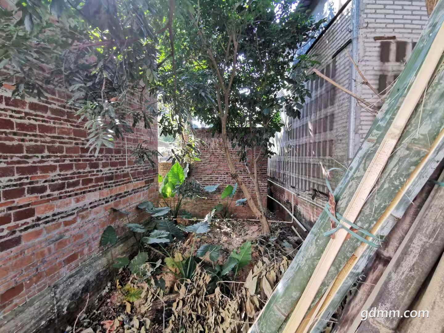 ΢��ͼƬ_20201119212155.png