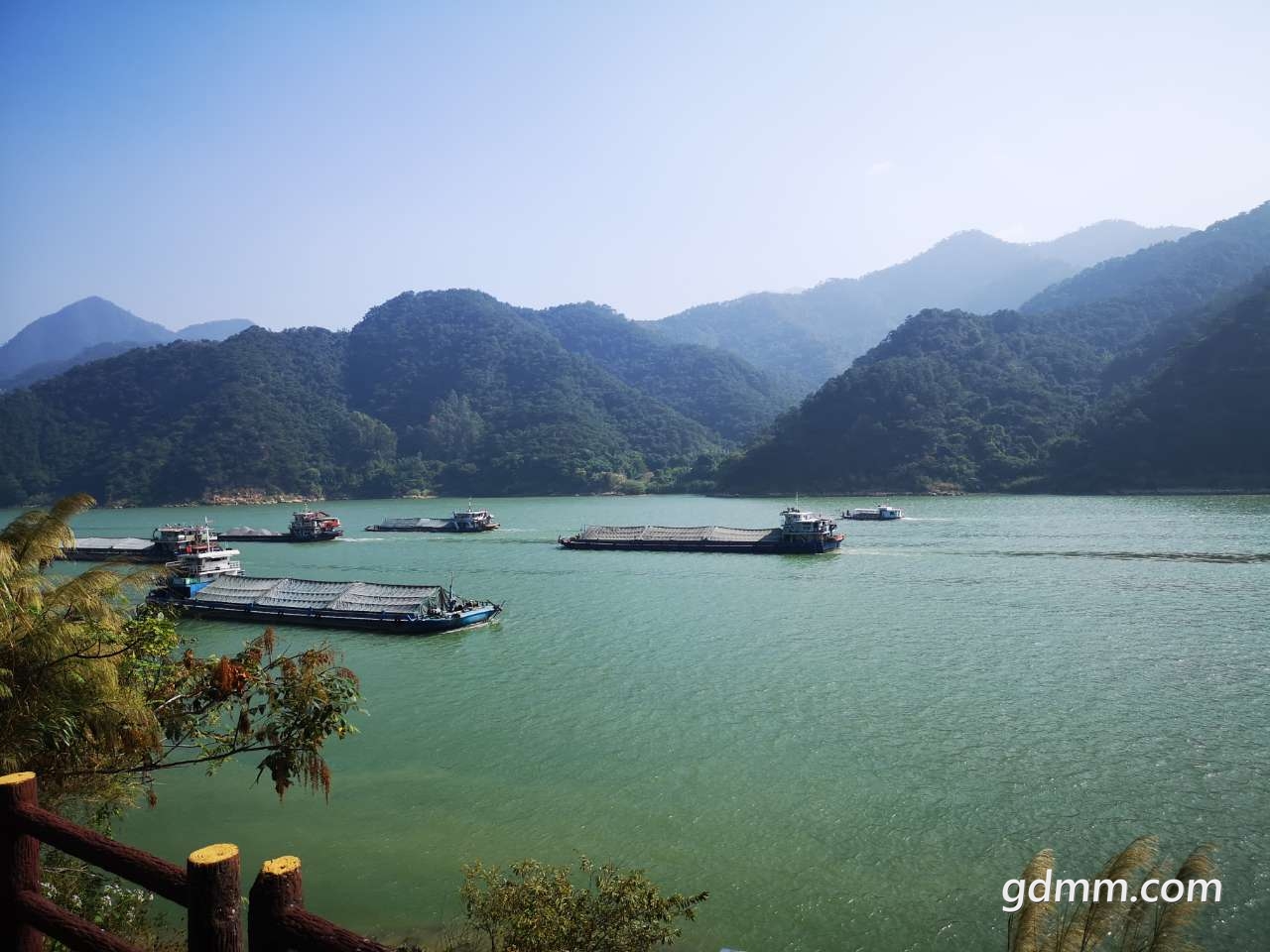 对比化州鉴江小东江是条小水沟看了肇庆西江化州鉴江也只是条小水沟