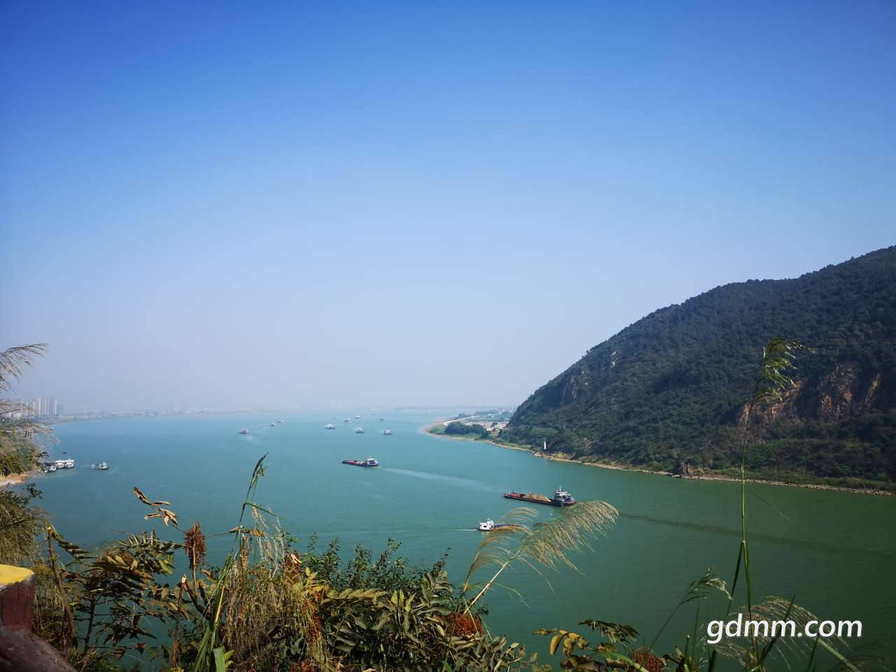 对比化州鉴江小东江是条小水沟看了肇庆西江化州鉴江也只是条小水沟